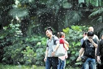 每次体检查血是在查什么?